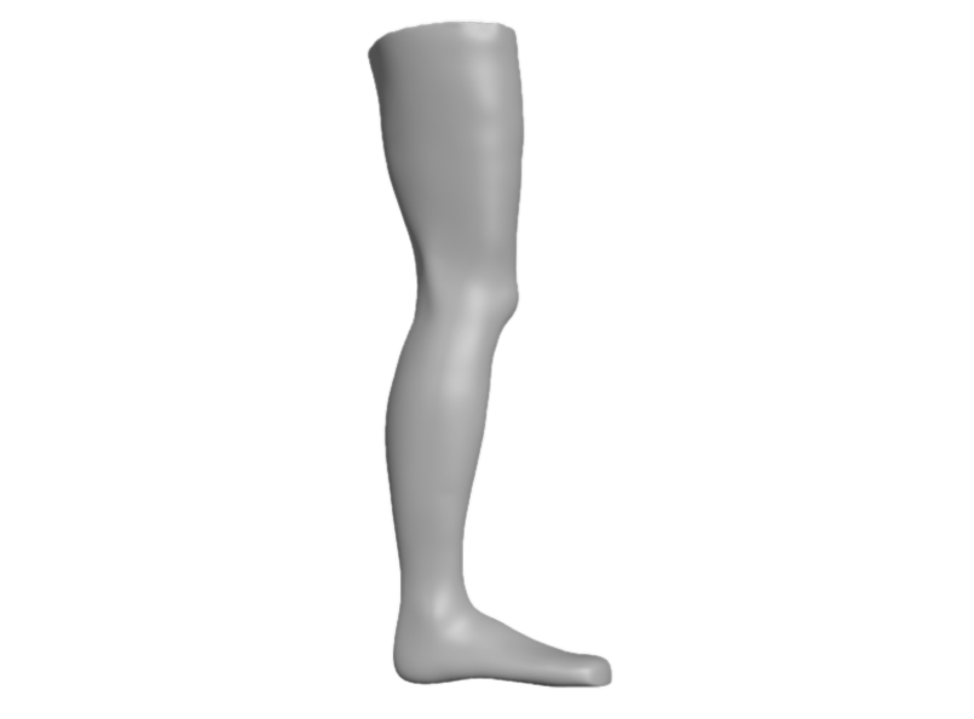 Modellierter Scan eines Beines für ein gefrästes Positivmoedell zur Erstellung einer KAFO