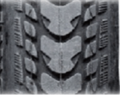 Decke, Primo, Sentinel, , LZ2